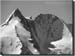 140417_sonnblick_0112