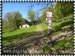 150516_monte-cadria_005
