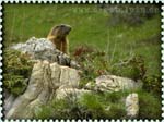150516_monte-cadria_074