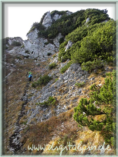 151116_scheibenwand_051
