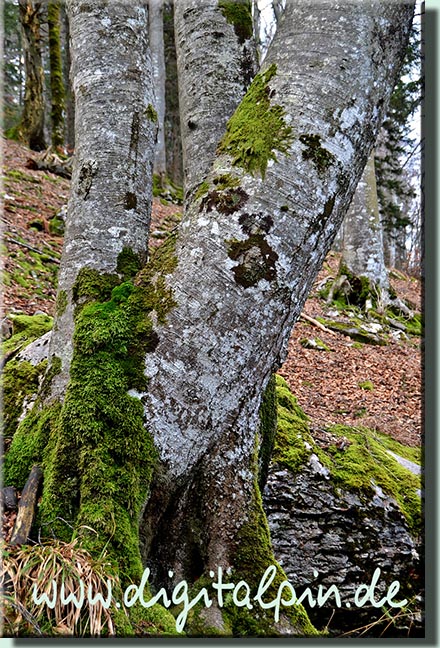 160202_friedenrath_067