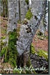 160202_friedenrath_067