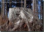 160202_friedenrath_077a