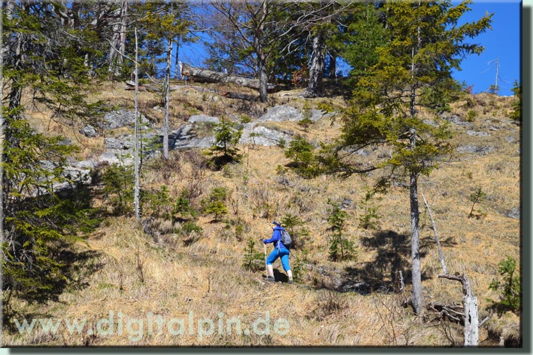 190416_hochalm_008