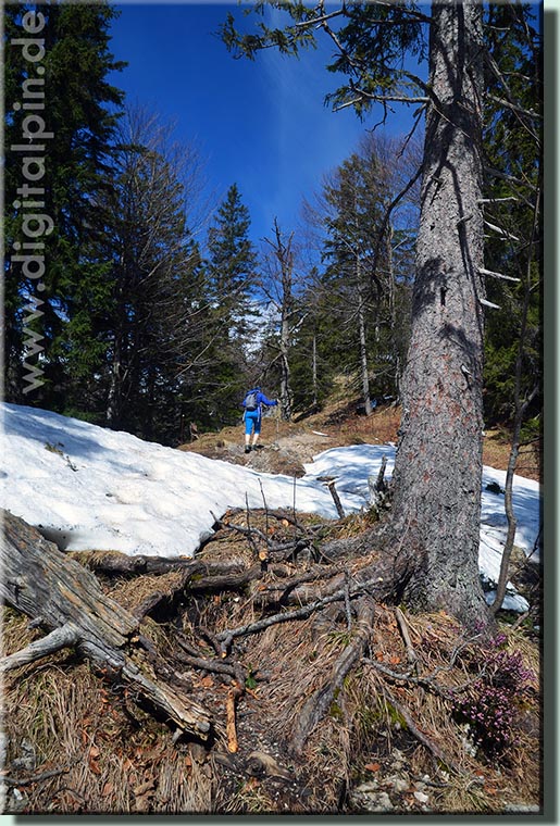 190416_hochalm_022