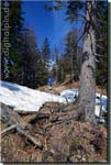 190416_hochalm_022