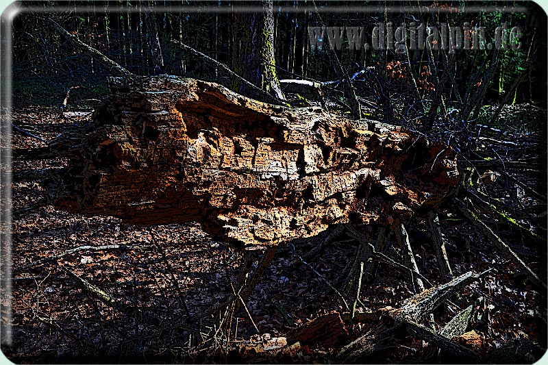 210225_butzen_43