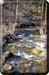 210225_butzen_21