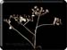 210225_butzen_28