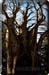 210225_butzen_44