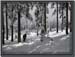210320_mittagsplatzl_022