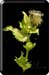 210817_via-salis_026
