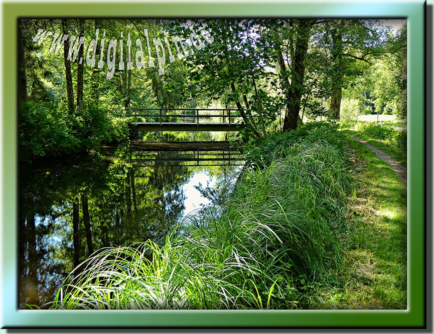 250531-ilzwanderung-42
