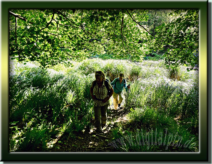 250531-ilzwanderung-43