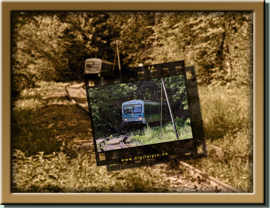 250531-ilzwanderung-54