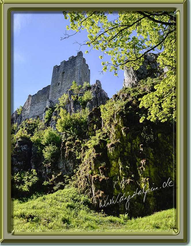 260510-weissenstein-12