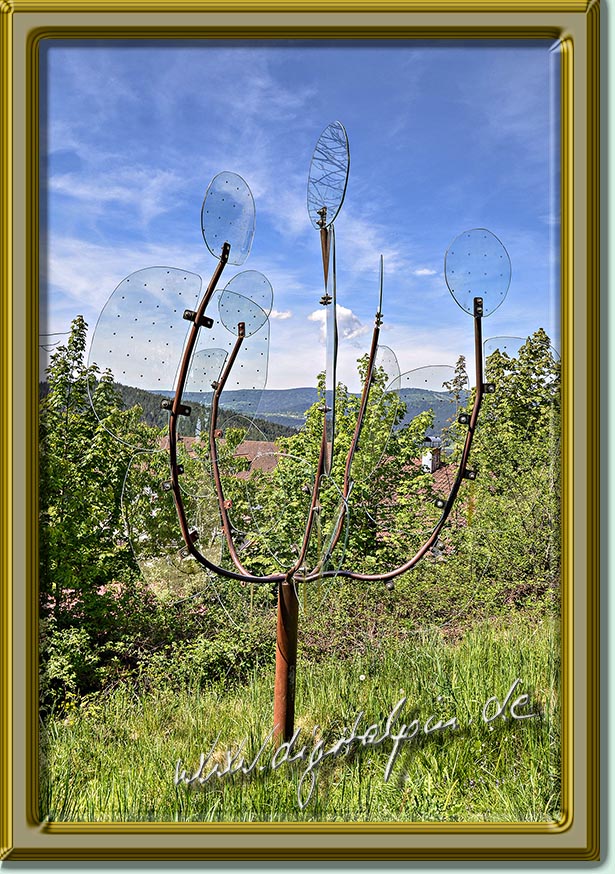 260510-weissenstein-36