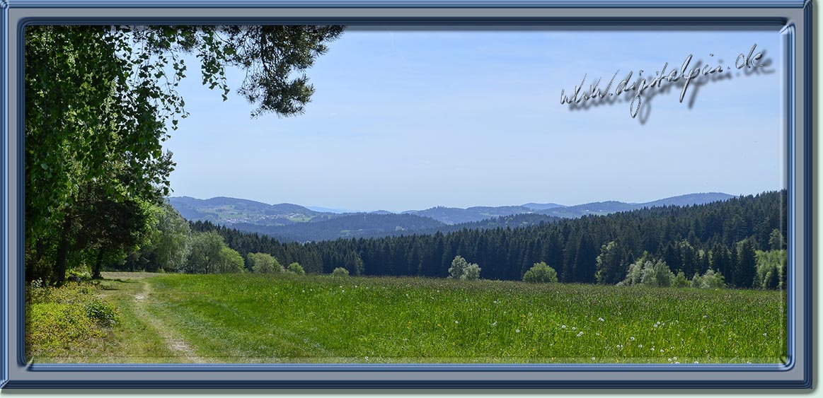 260510-weissenstein-59