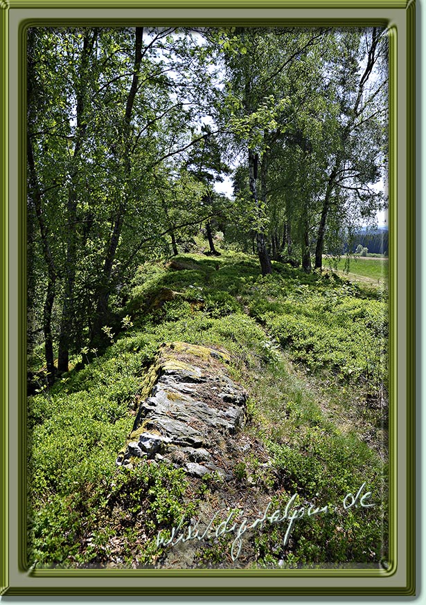 260510-weissenstein-60