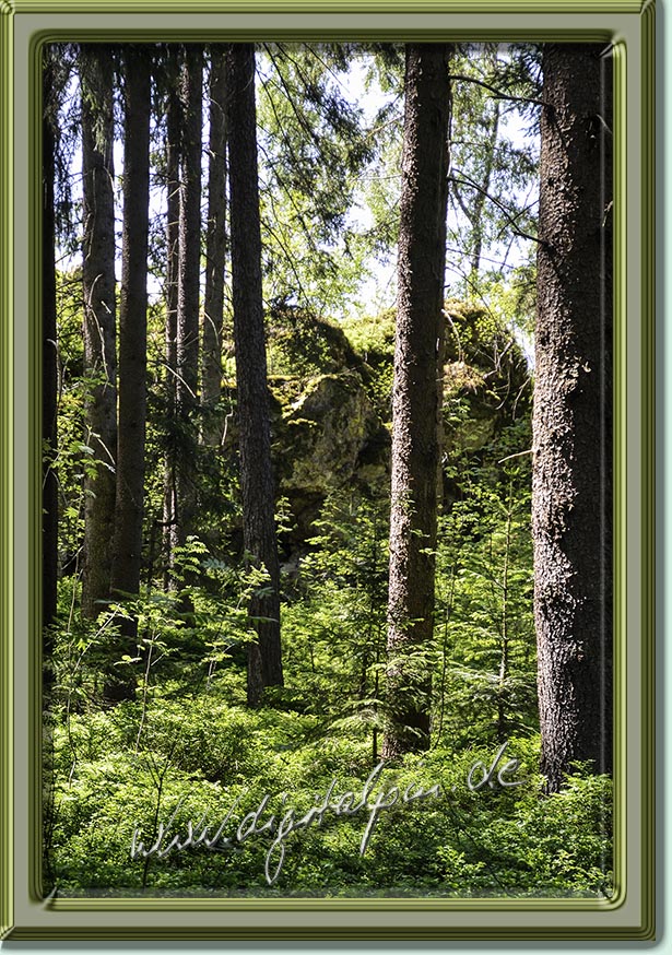 260510-weissenstein-68