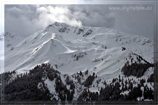 960302_feldalphorn_15