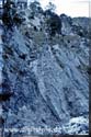 971102_Mittenwalder-HW_005