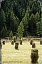 980719_schrankogl_001