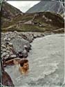 980719_schrankogl_009